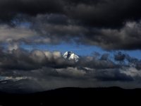 USA Westcoast 2010