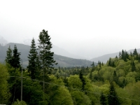 USA Westcoast 2010