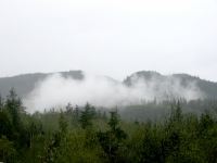 USA Westcoast 2010