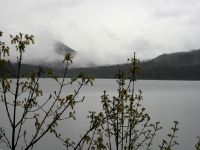 USA Westcoast 2010