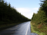 USA Westcoast 2010