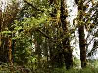 USA Westcoast 2010