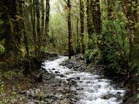 USA Westcoast 2010