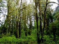 USA Westcoast 2010