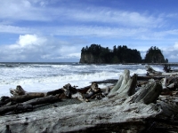 USA Westcoast 2010