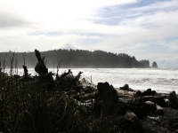USA Westcoast 2010