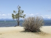 USA Westcoast 2010